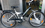 Pegasus Avanti 24Zoll