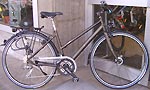 Raleigh Pure